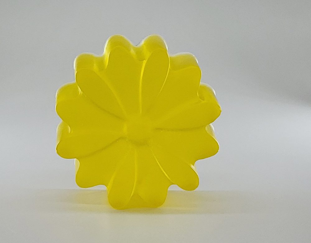 Fleur jaune citronnelle